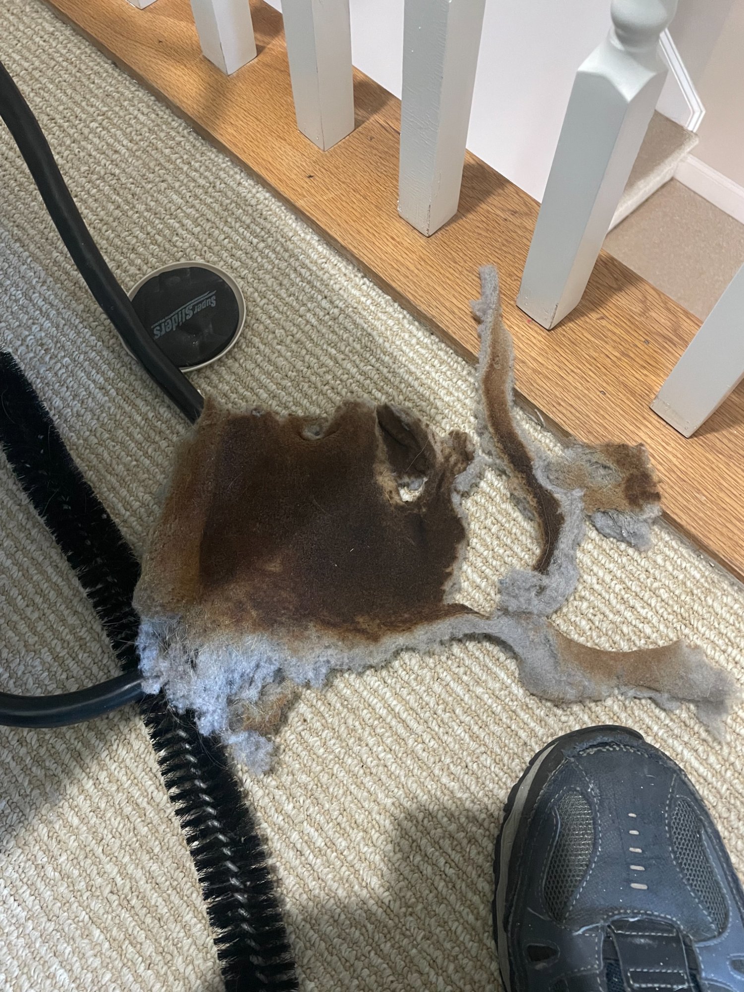 Singed lint removed from dryer cabinet — brown and burned showing extreme fire risk