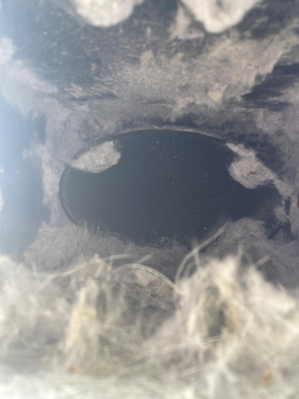 Charleston dryer vent cleaning