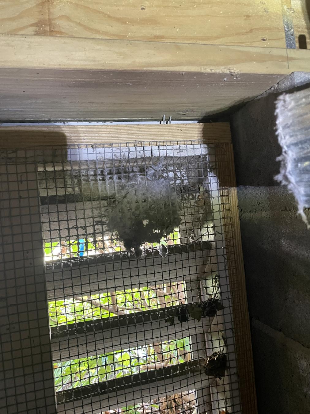 Daniel Island dryer vent cleaning