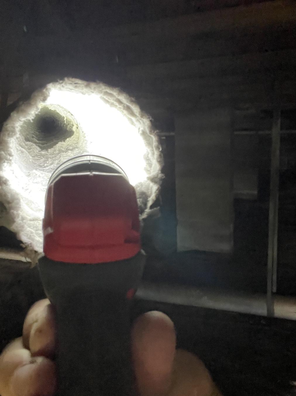 Daniel Island dryer vent cleaning