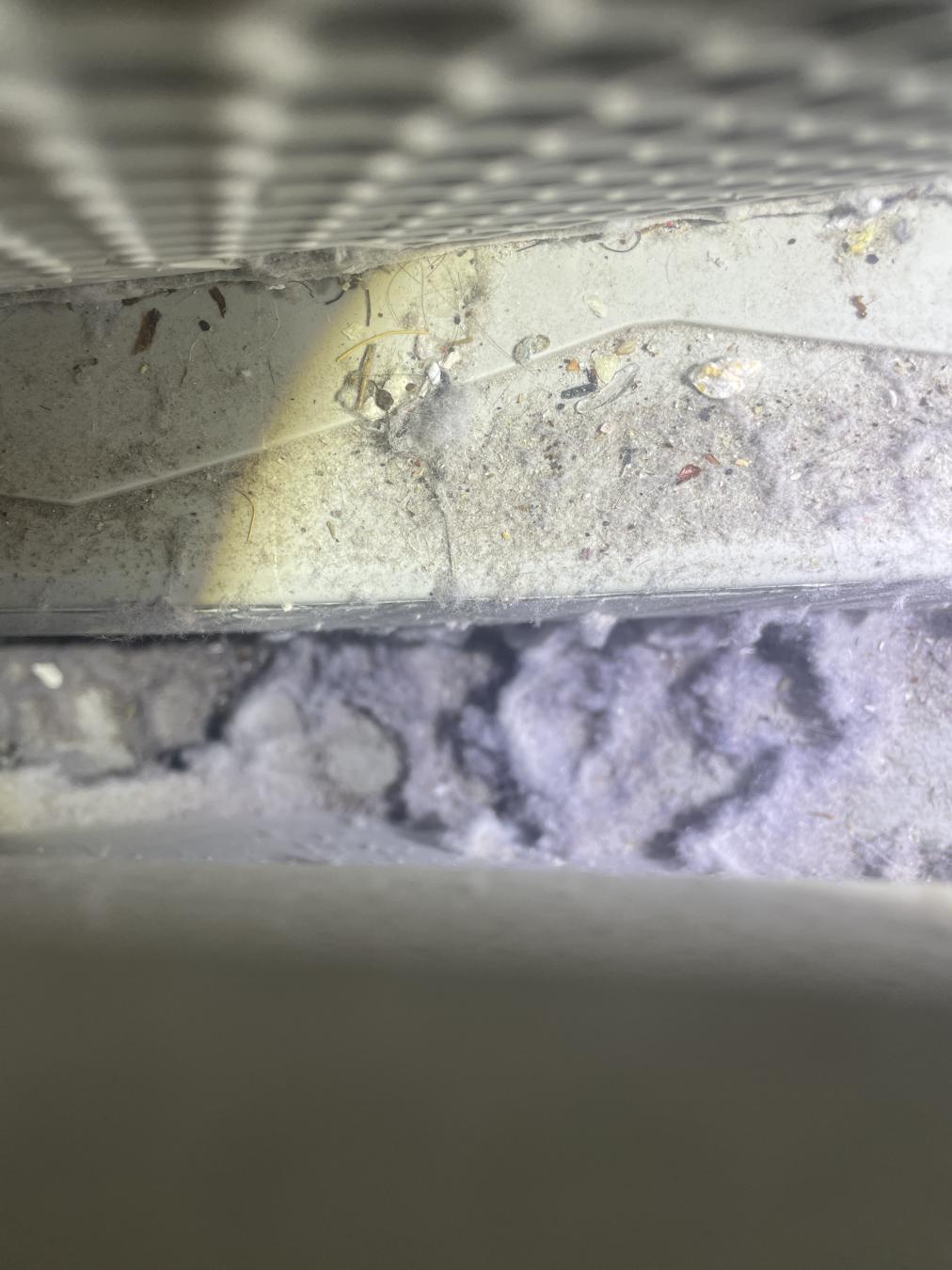 North Charleston dryer vent cleaning