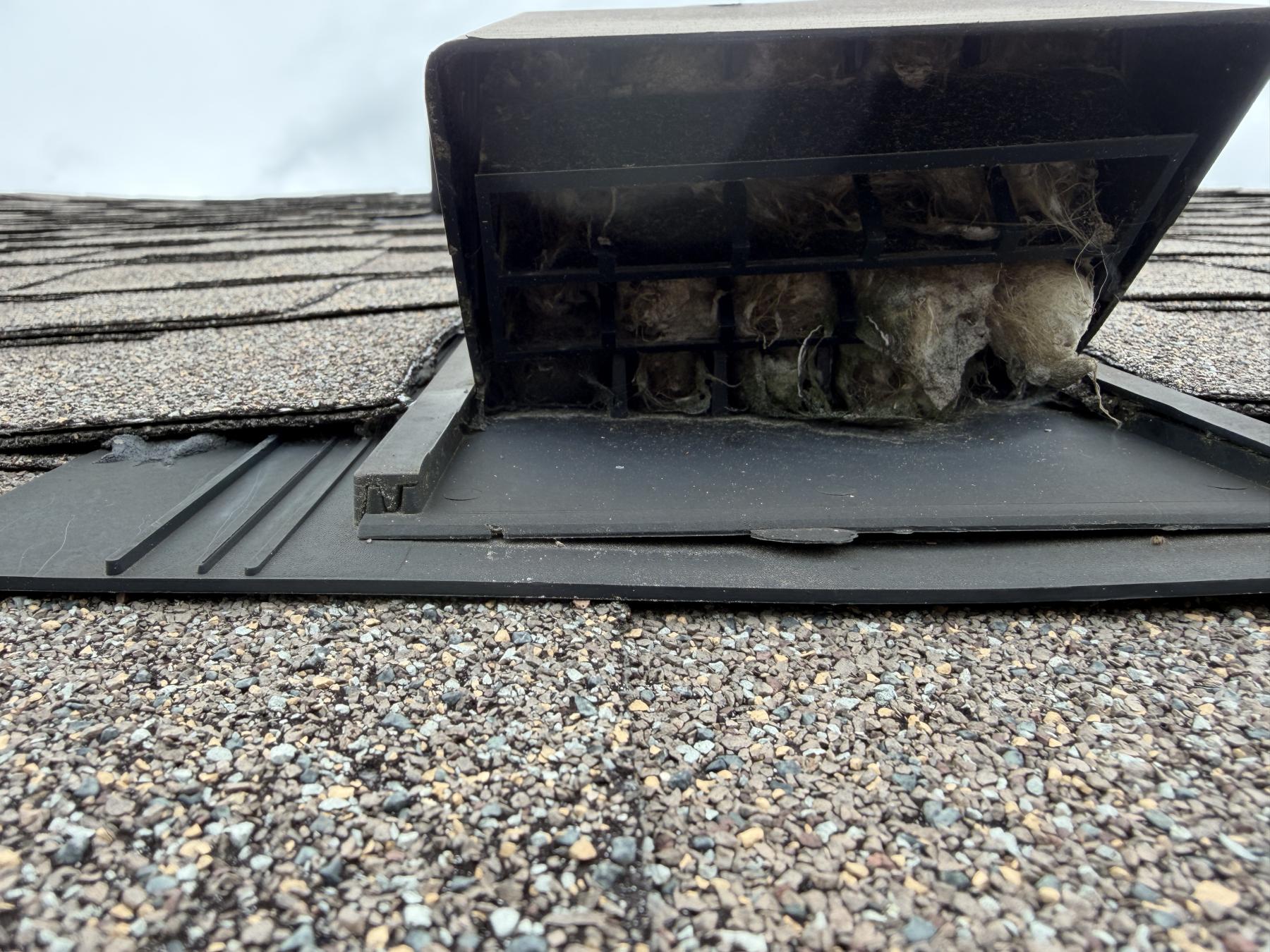 Mt. Pleasant dryer vent cleaning