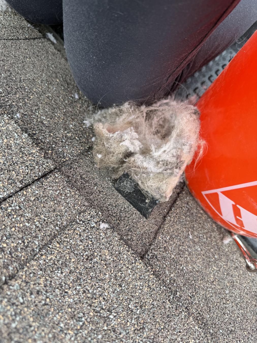Mt. Pleasant dryer vent cleaning