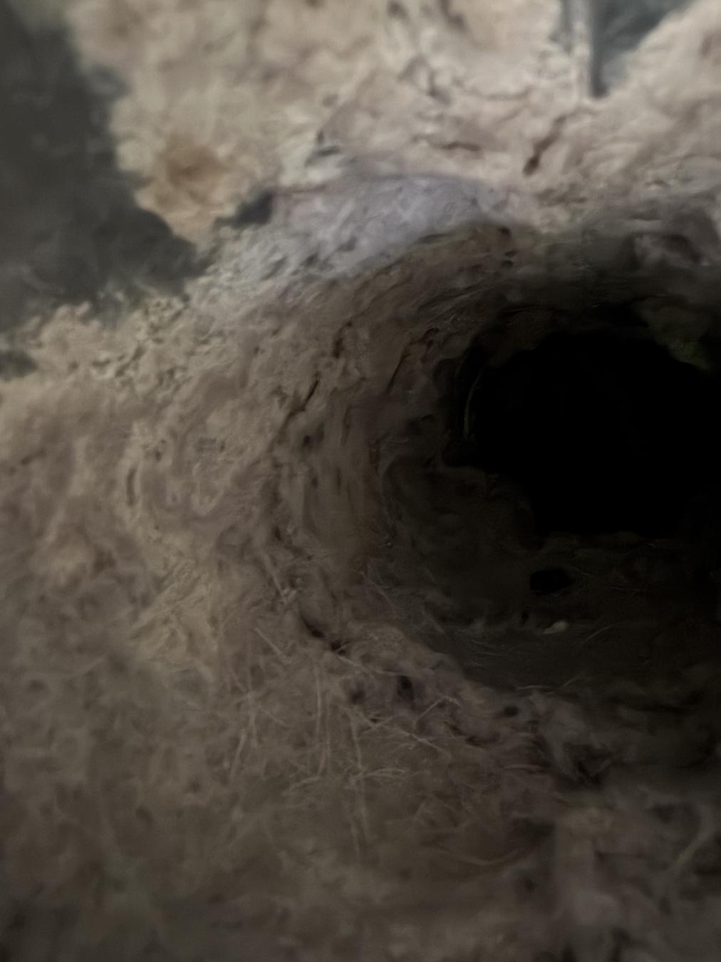 Mt. Pleasant dryer vent cleaning