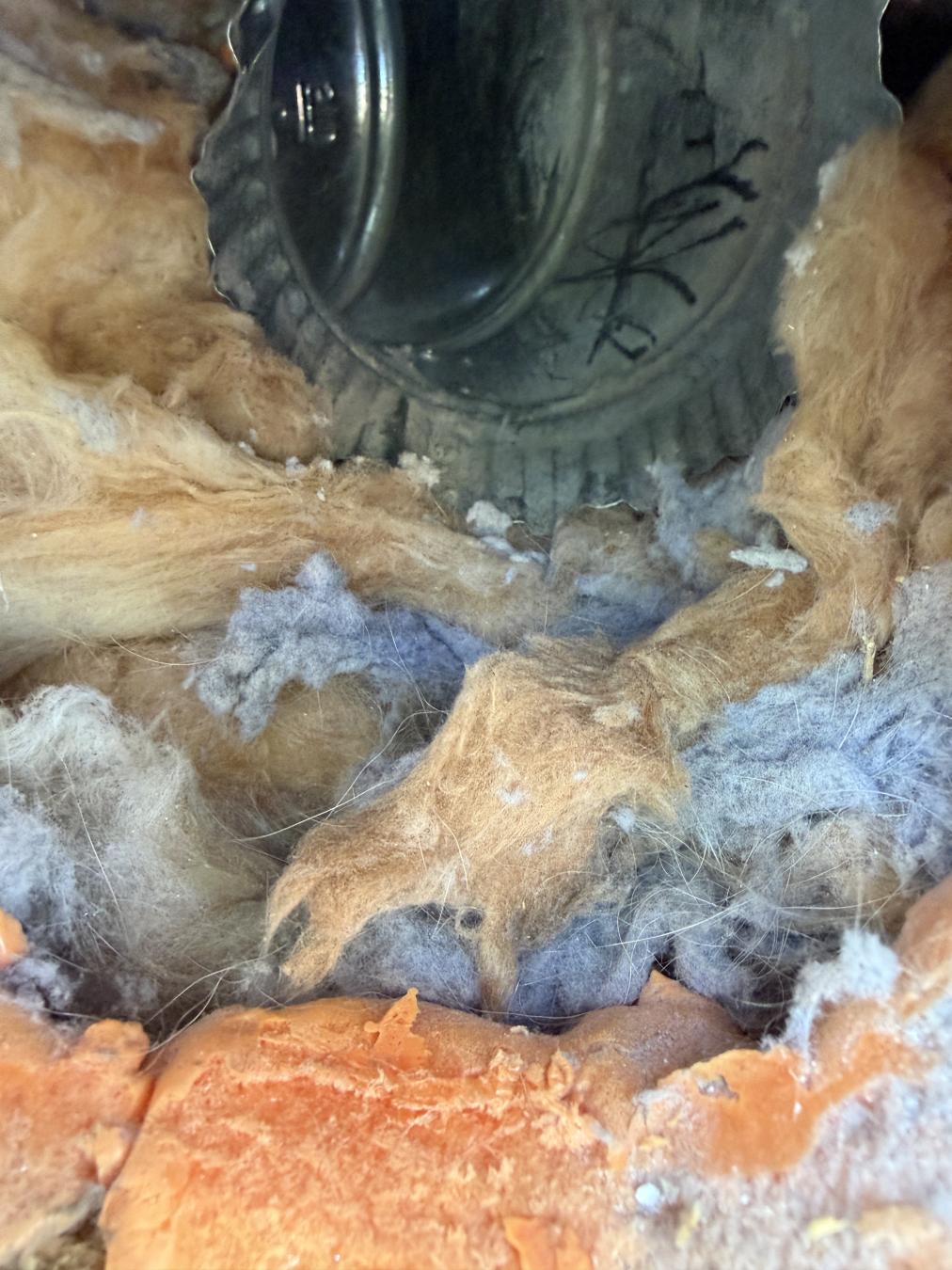 Daniel Island dryer vent cleaning