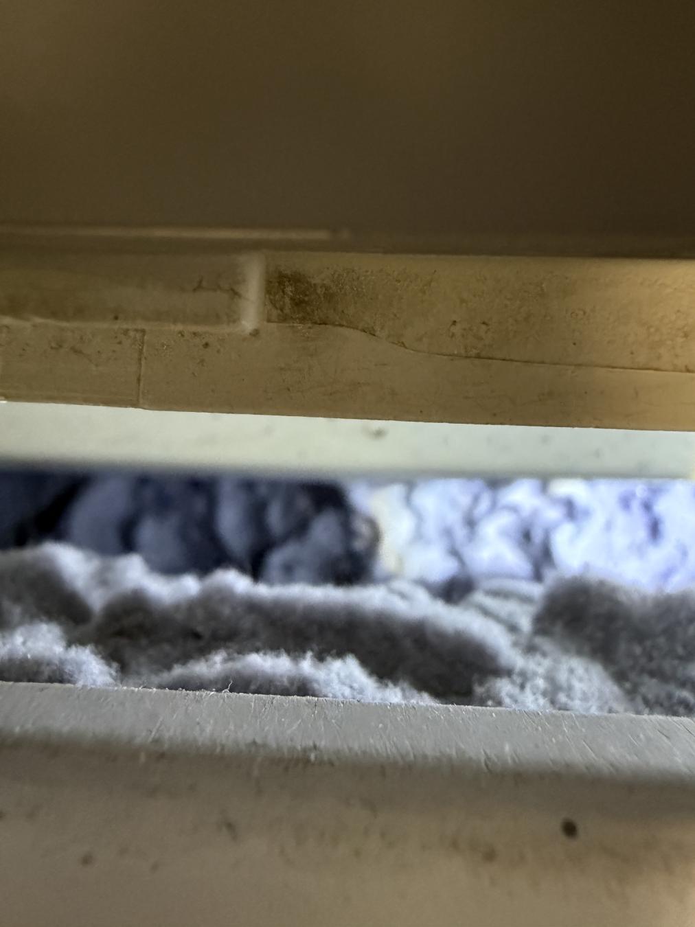 Charleston dryer vent cleaning