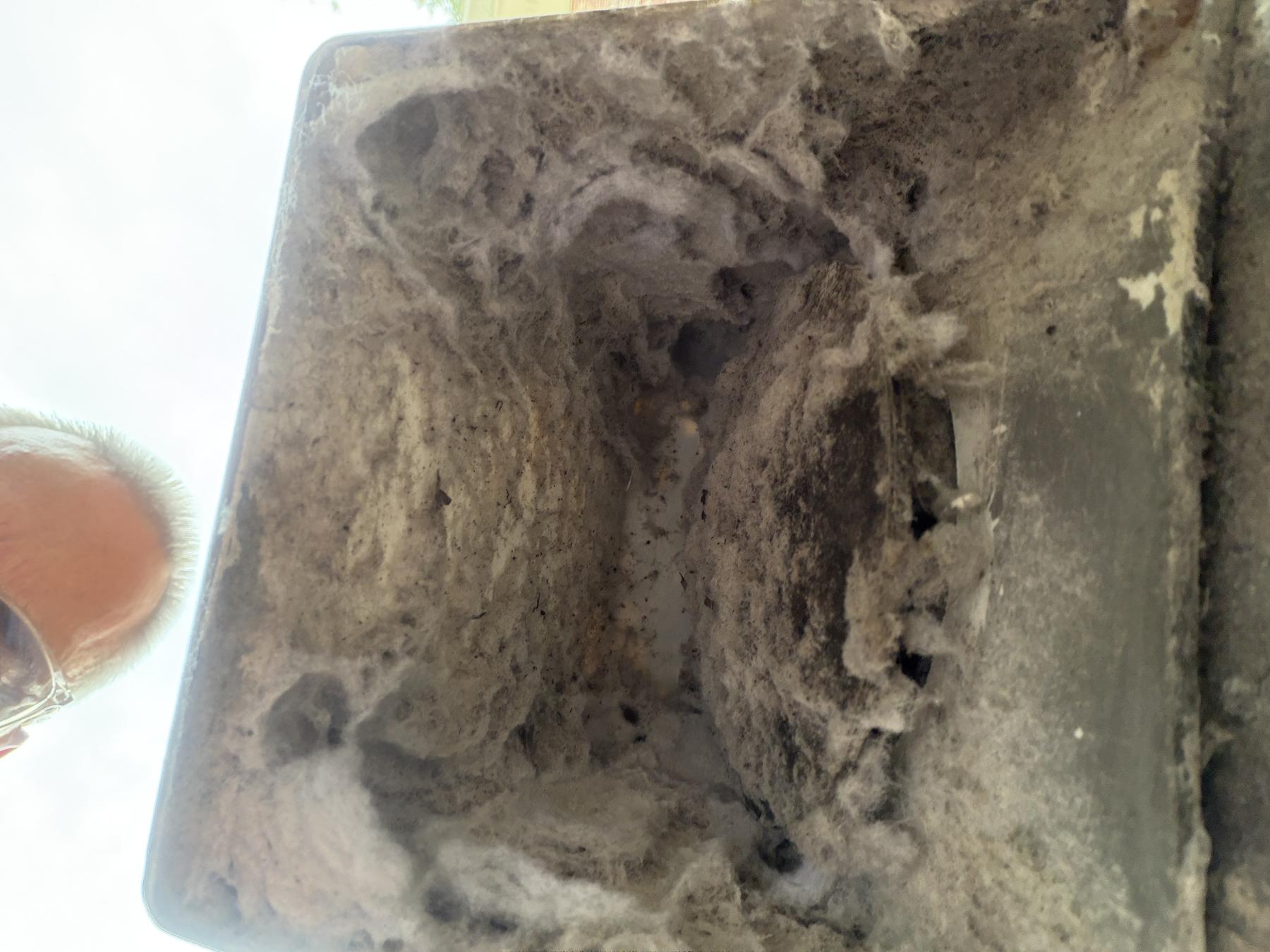 Mt. Pleasant dryer vent cleaning