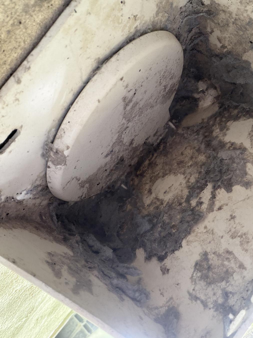 Mt. Pleasant dryer vent cleaning