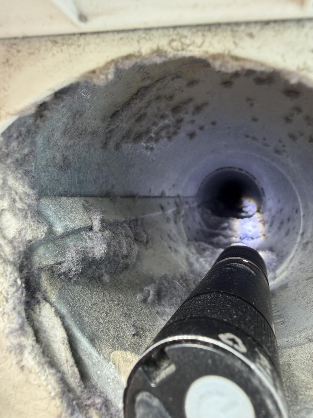 West Ashley dryer vent cleaning