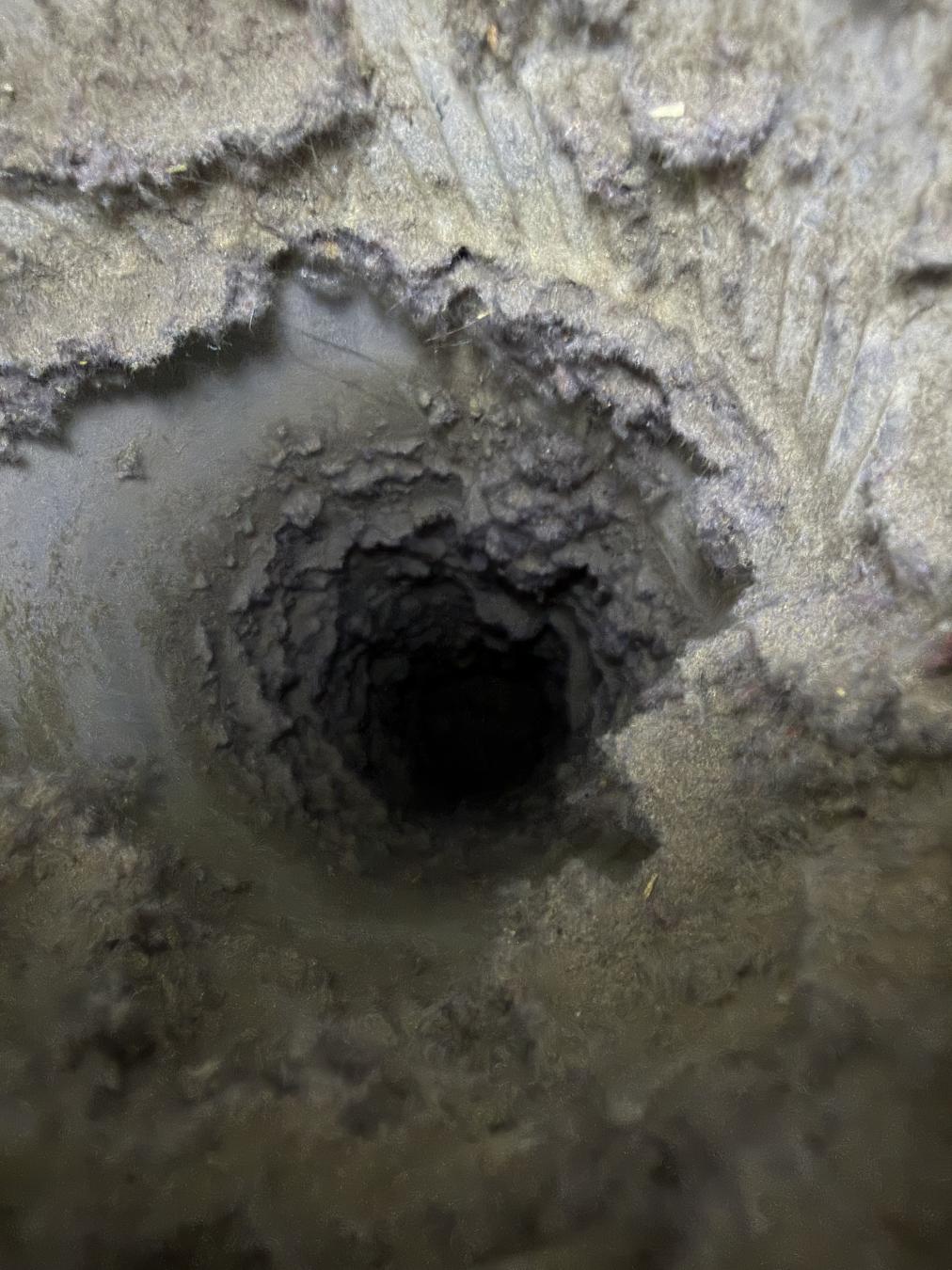 James Island dryer vent cleaning